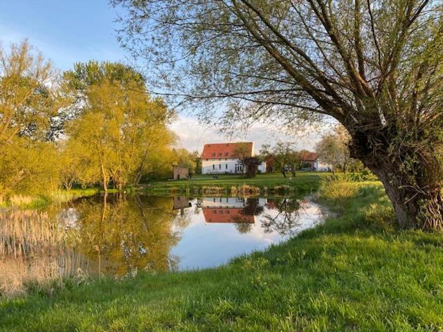 Traumhaftes Luxus-Ferienhaus Warnkenhagen  Buitenkant foto